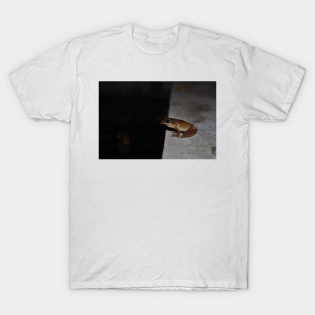 Peering into darkness T-Shirt by gdb2
